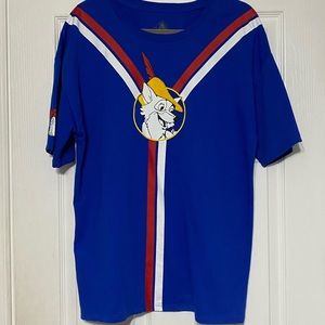 Robin Hood Shirt from Disneyland